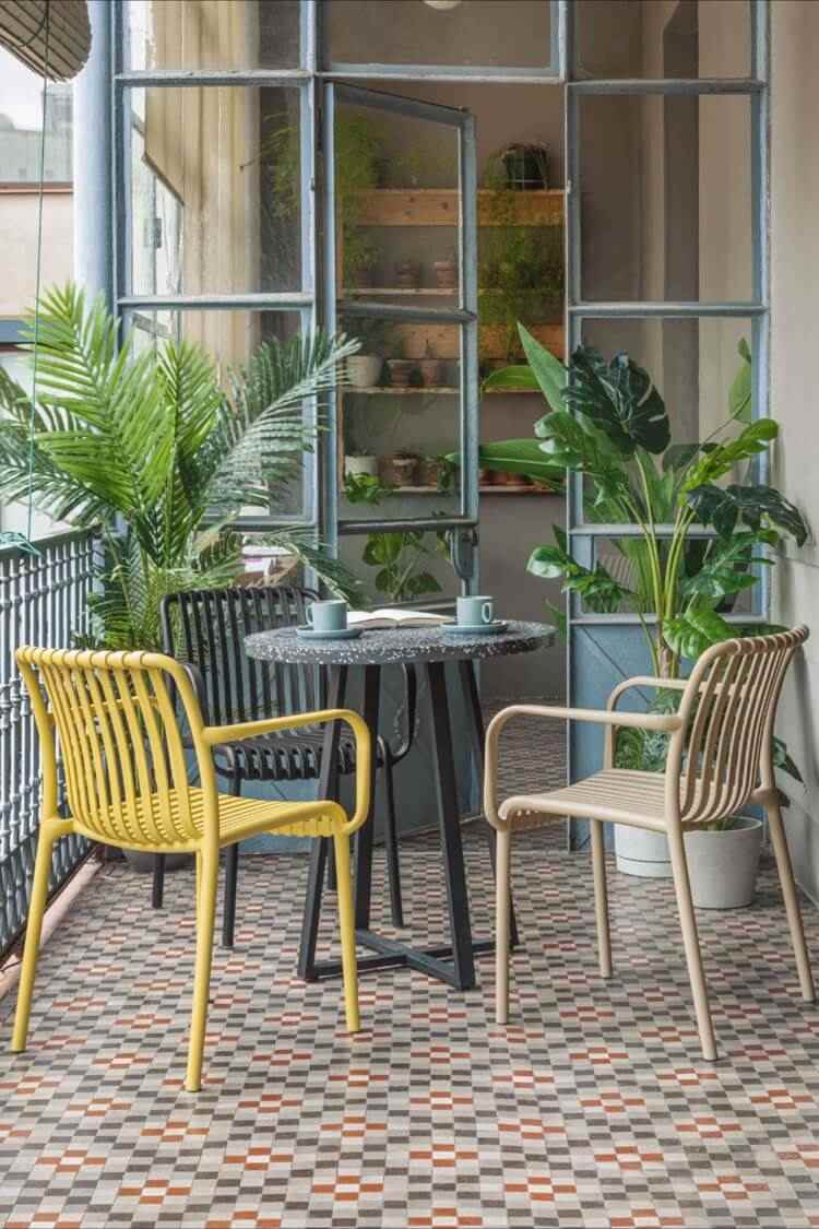 tropikalne rośliny balkonowe palma i monstera