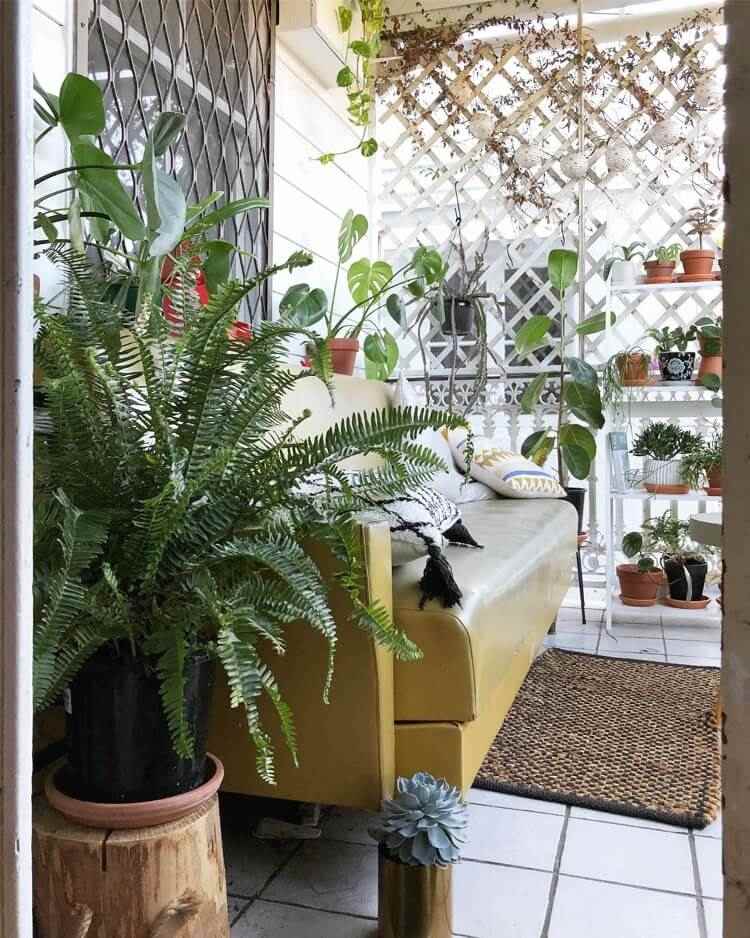 balkon w miejskiej dżungli z paprociami i pnączami