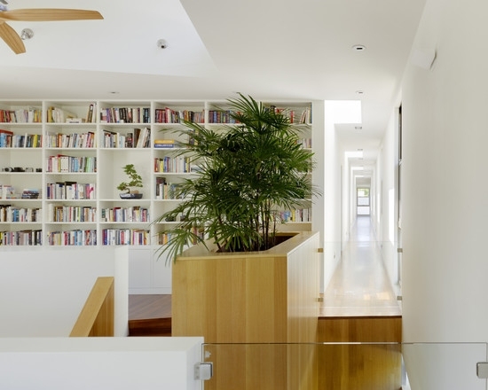 drzewo bonsai salon nowoczesna jasna półka książki