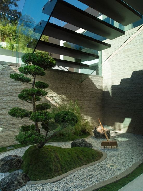 bonsai obszar zewnętrzny odśwież krajobraz zielony piękny