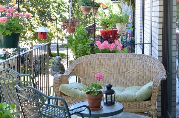 Pelargonie i inne piękne rośliny rośliny-balkon-pomysł-odpędzanie-owadów