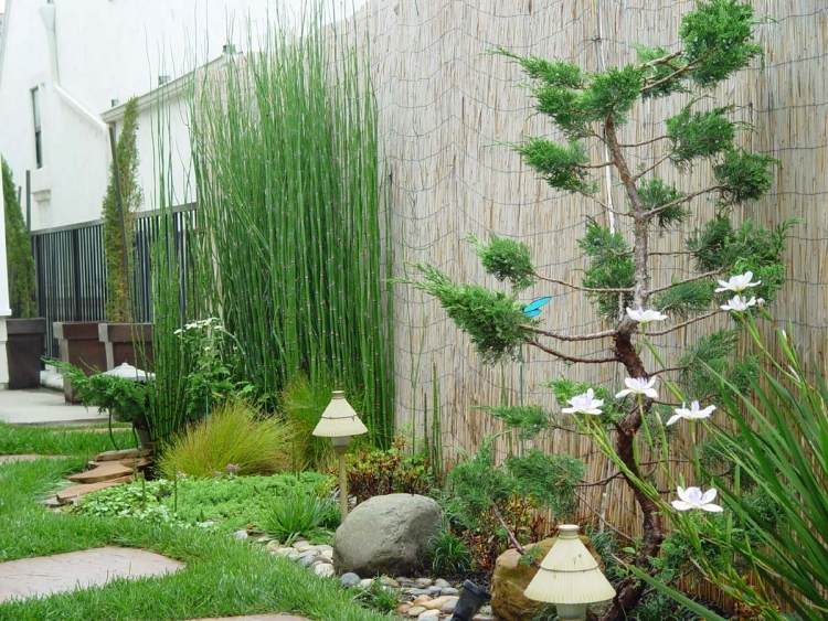 Użyj mat bambusowych jako ekranów prywatności w ogrodzie Feng Shui projekt ogrodu bambusowe maty-ekrany prywatności-rośliny-światła ogrodowe