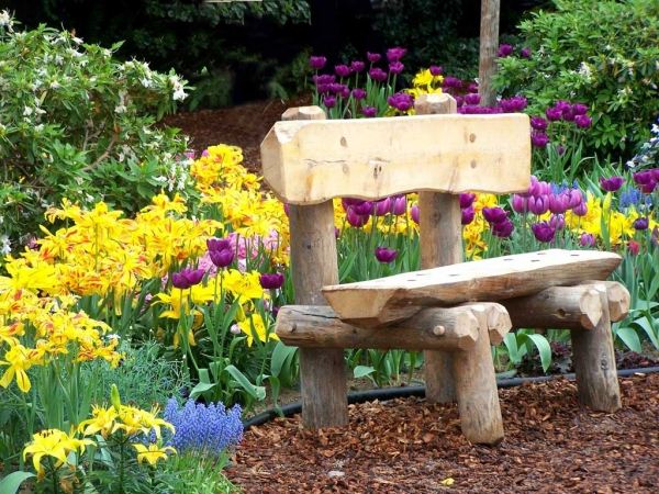 pomysły na projekt ogrodu w domu fioletowe tulipany pomysły na projekt ogrodu do zastosowania w domu fioletowe tulipany