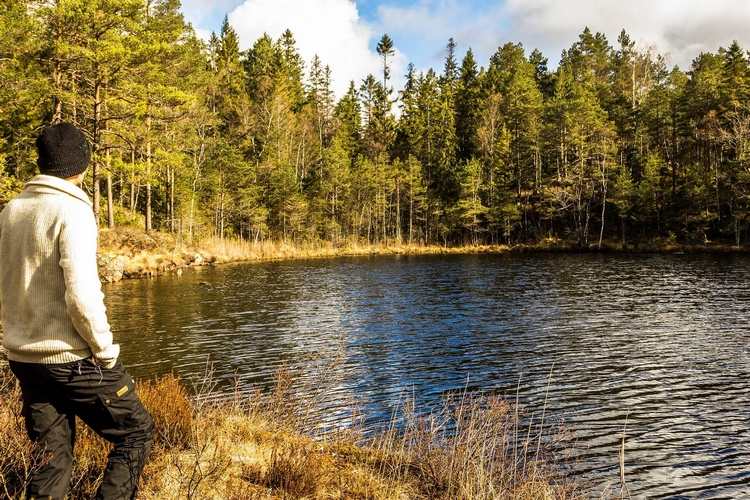 wieczór kawalerski lub panieński na łonie natury wyjść nad morze lub jezioro lub być w lesie
