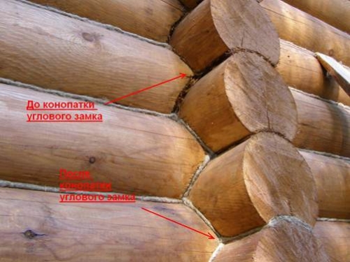 Calafateo de la casa de troncos