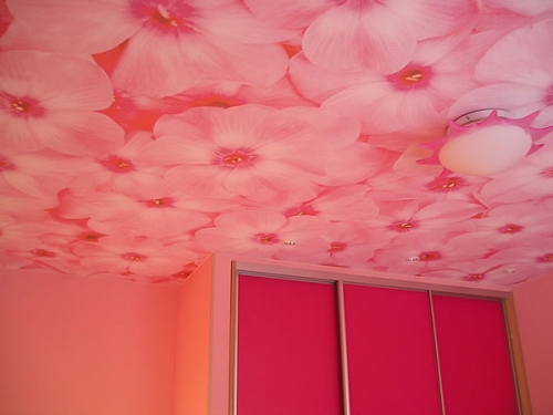 Soffitti decorati senza soluzione di continuità