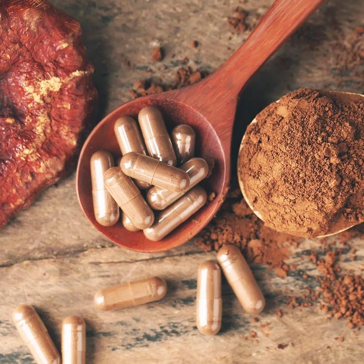 kapsułki reishi kup kawę ganoderma grzyby lecznicze korzyści zdrowotne łyżka w proszku