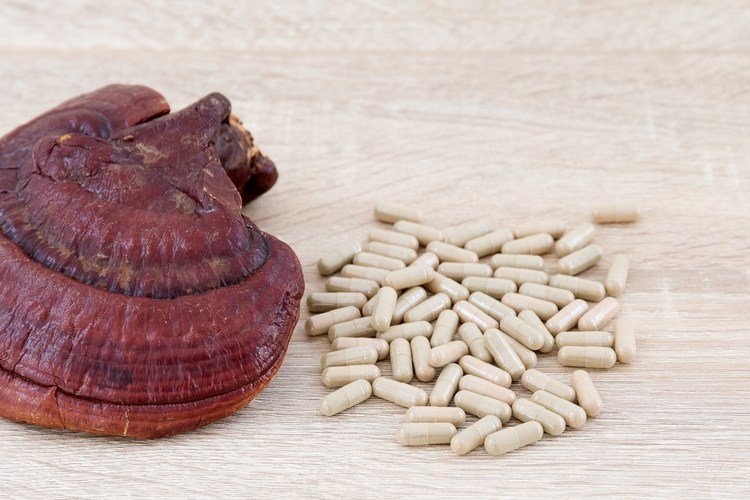 reishi-kapsułki-kup-ganoderma-lucidum-kawa-lecznicze-grzyby-korzysci-zdrowotne-proszek