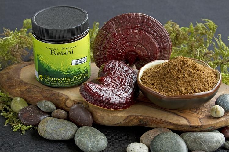 grzyb reishi kup ganoderma lucidum kawa grzyby lecznicze korzyści zdrowotne organiczna kawa w proszku w proszku kamienie szkło