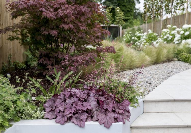 Japoński klon Acer palmatum i Heuchera tworzą akcenty swoimi czerwonymi liśćmi
