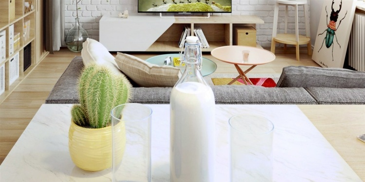 Dekoracja mieszkania z kaktusem design-apartament-akcenty-kaktus-żółta-doniczka-salon-design